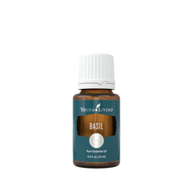 Young Living Basil 15 ml – Zuivere basilicumolie voor focus, vitaliteit & frisse geurbeleving